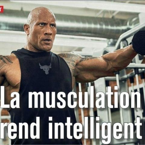 La pratique de la musculation est un facteur de croissance... De l'intelligence !